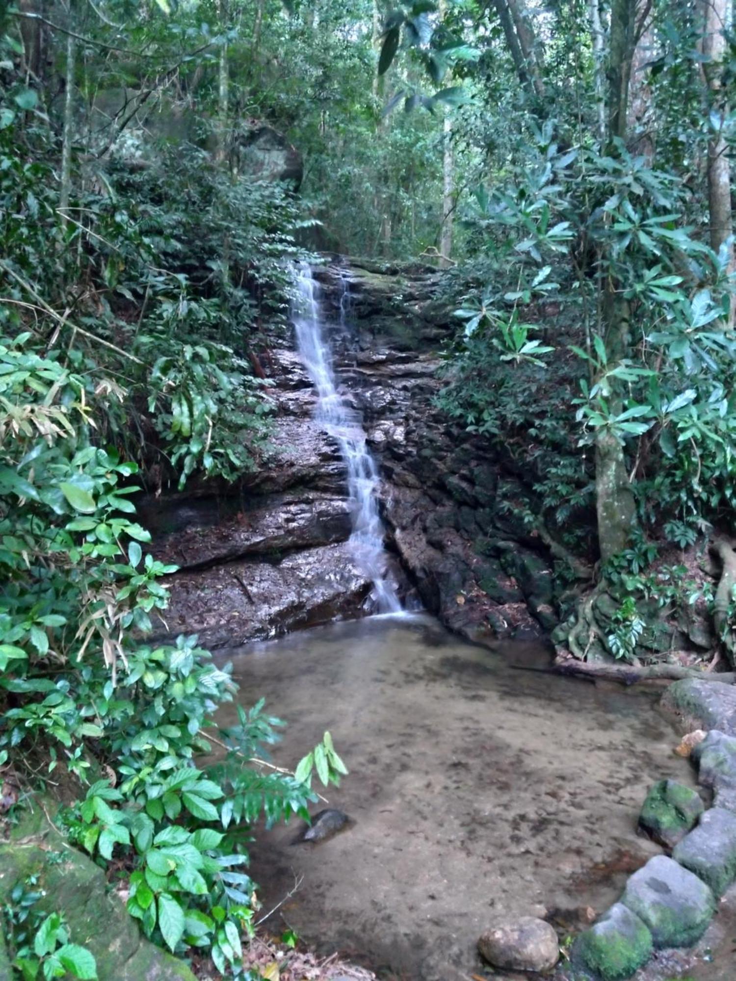 مبيت وإفطار ريو دي جانيرو Rio National Park H&C المظهر الخارجي الصورة